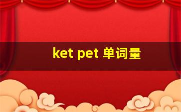 ket pet 单词量